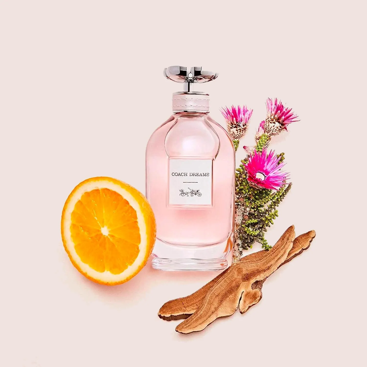 Coach Dreams 2.0 oz EDP for women