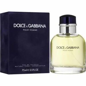 Dolce and Gabbana 2.5 oz EDT for men