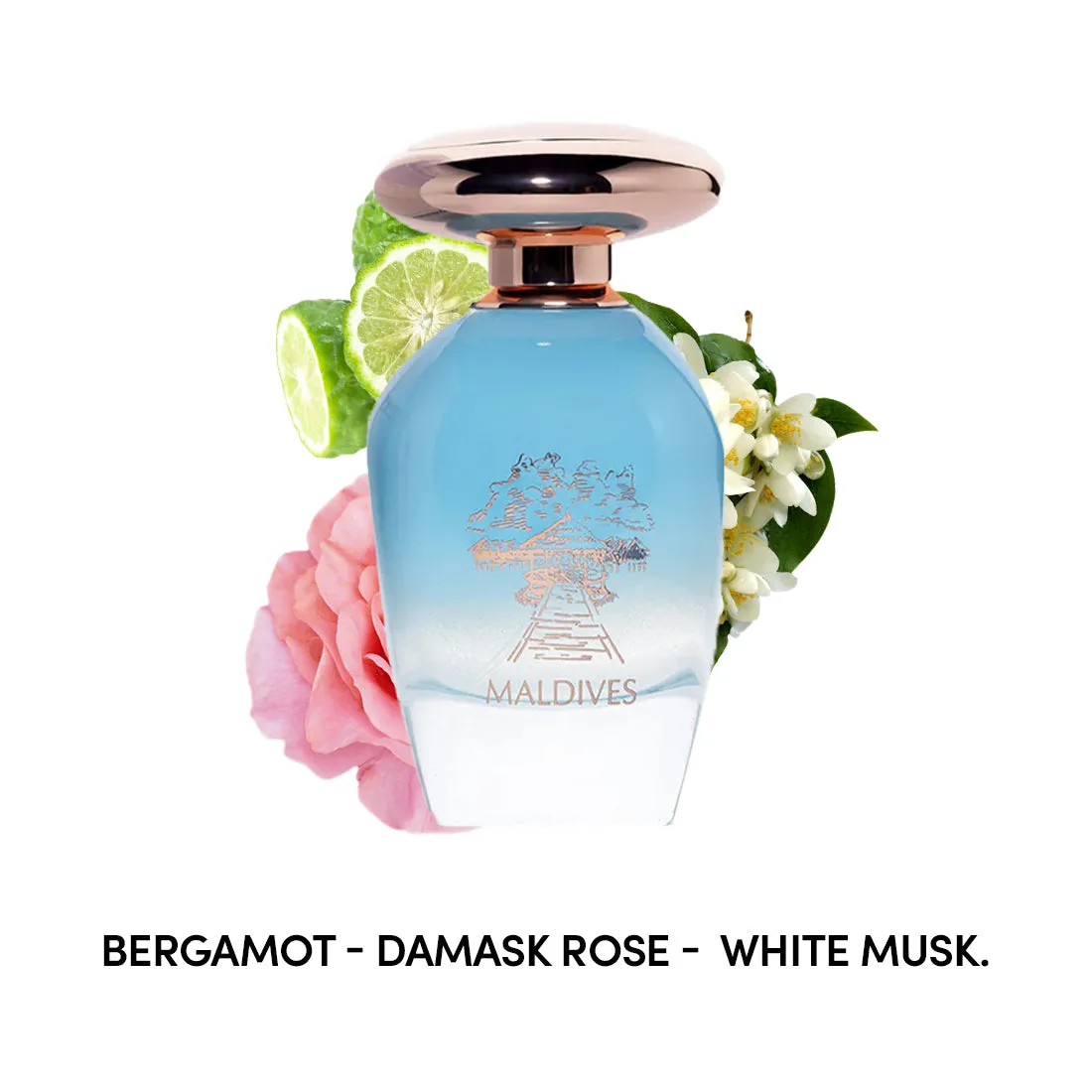 Night De Paris Maldives By Lorientale Fragrances Eau de Parfum Spray 3.3 oz